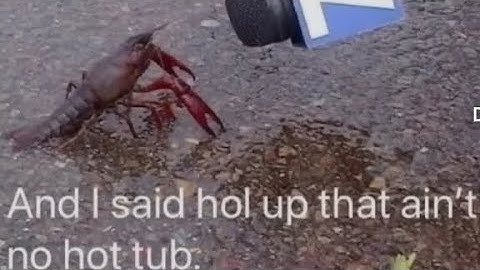 When BFB 17 Hired a flipaclip animator 💀