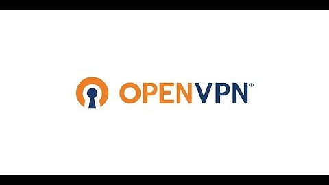 Openvpn split route on linux and nixos for torrenting