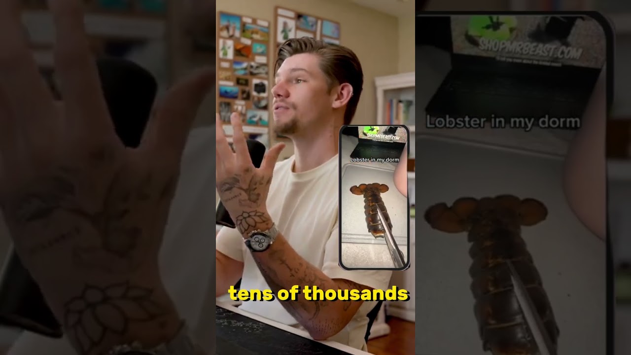 VIDEO 3