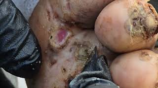 Nandi's fat, juicy loose jiggers #2 -- subscribe @riseupsociety.net for long video 1000s more