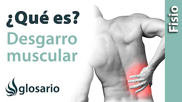 ¿Cómo saber si tiene lesiones musculares en la espalda?