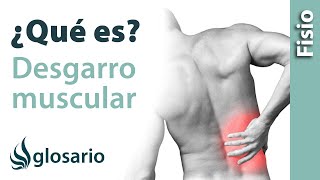 DESGARRO MUSCULAR | Qué es, afecta, síntomas, signos clínicos, causas y tratamiento fisioterapéutico