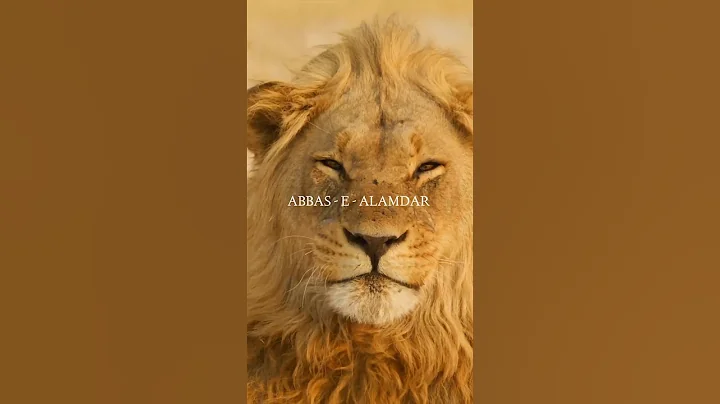 Kon Hai Hazrat Abbas Ibn Ali #ali #abbas #hazratali #hazratabbas #islamic #shorts #shia #lion #islam
