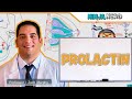 Endocrinology | Prolactin