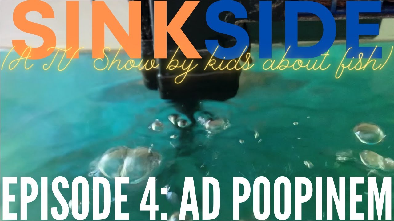 Sinkside - Episode 4: Ad Poopinem