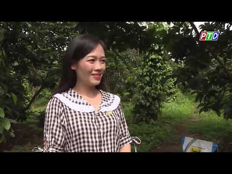 Video: Bón phân cho Cây Bơ - Yêu cầu về Bón phân cho Cây Bơ là gì