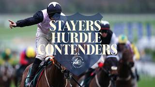 2026 Paddy Power Stayers' Hurdle key CONTENDERS Net Worth