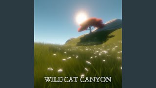 Beyond Right and Wrong