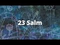 23ú Salm | In Irish | Short Version