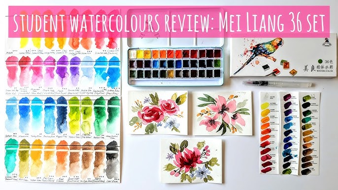 Most Requested Cheap Paint Review! MEEDEN Watercolor 48 Pans/ 24 Tubes  review & comparison 