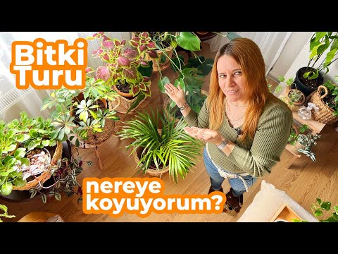 Video: Bitkileri Bölme - Bir Bitkiyi Bölebilir miyim?