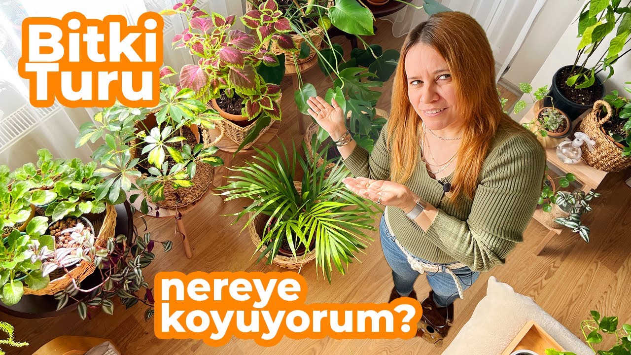 Evimdeki Bitkileri Gösteriyorum 🌿 | Beklenen Bitki Turu 🤗 @bitkilerin_dili