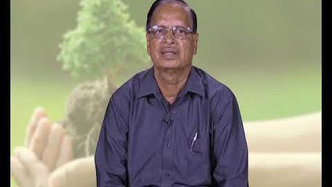 Getting to know the practice of silviculture