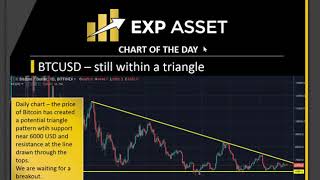 Exp asset   benefits in binary plan and matrix when you join the best online business in 2018