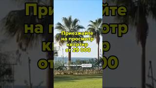 Приезжайте и сами посмотрите #турция #мерсин