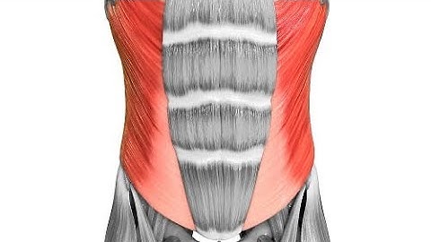 Windshield Wiper - Abs core exercises