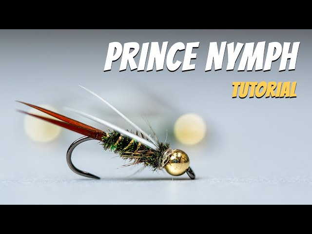 Prince Nymph Fly Pattern (Tying Tutorial) 