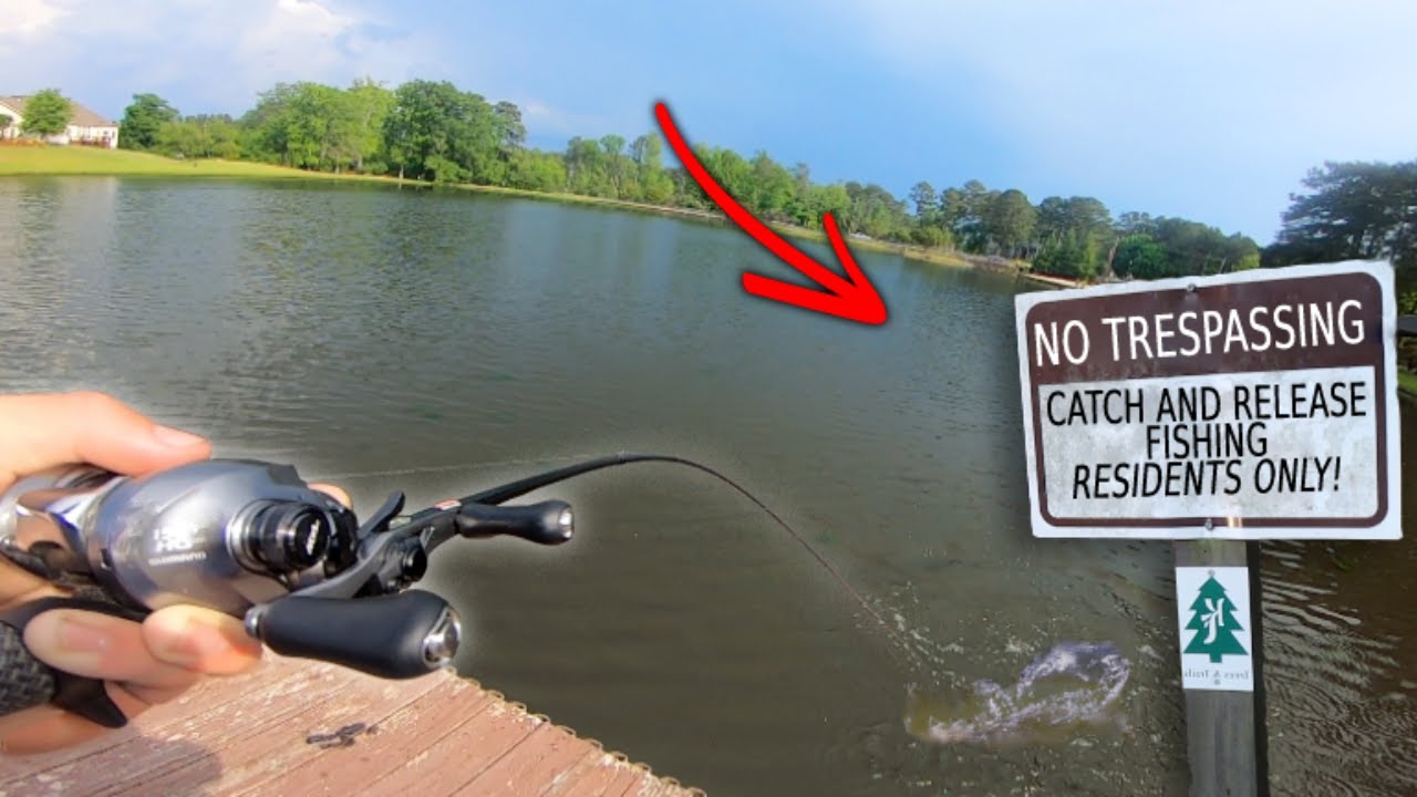 FISHING Neighborhood PONDS For SPRING BASS! (Pond hopping)