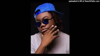 Dj Taba Mix - Levaram o Meu Pato (Remix)