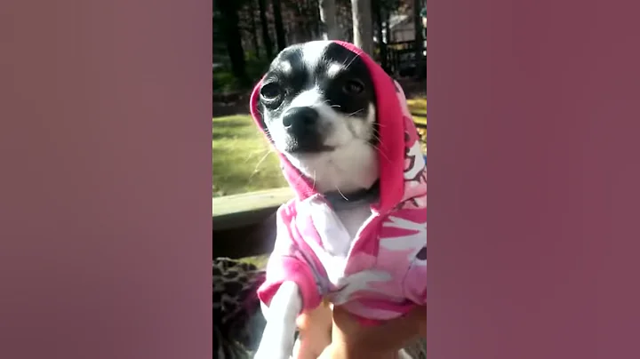 Lili The Thug