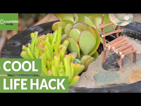 Wie Sie Ihre eigene Mini-Gartenterrasse machen