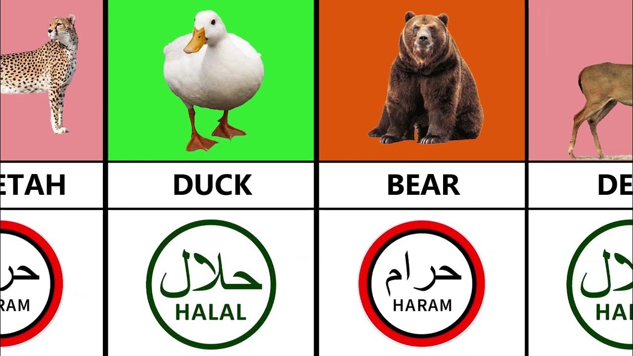 Halal and Haram Animals in Islam 2023 Muslims Don't Eat Haram