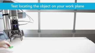 How to Teach an Object With the Wrist Camera