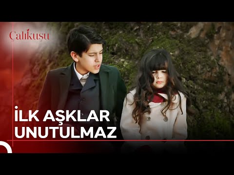 Bazı Ruhlar Evvelden Aşinadır Birbirine... | Çalıkuşu