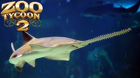 Zoo Tycoon 2: Sawfish Exhibit Speed Build