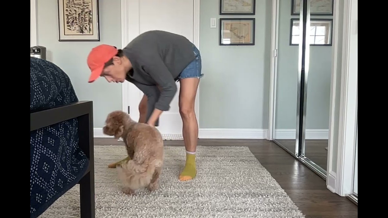 Ex's and Oh's (Elle King) -- Part 1 -- tutorial