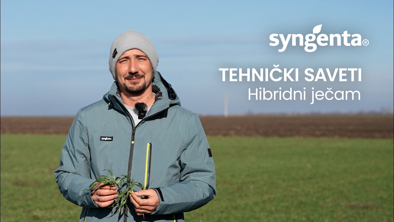 Tehnički saveti - Prihrana hibridnog ječma