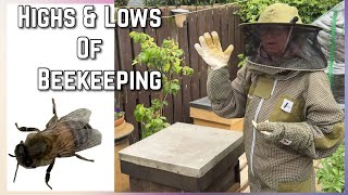 Having Bees isn’t Easy. Different Ways of Splitting a Beehive Colony Explained