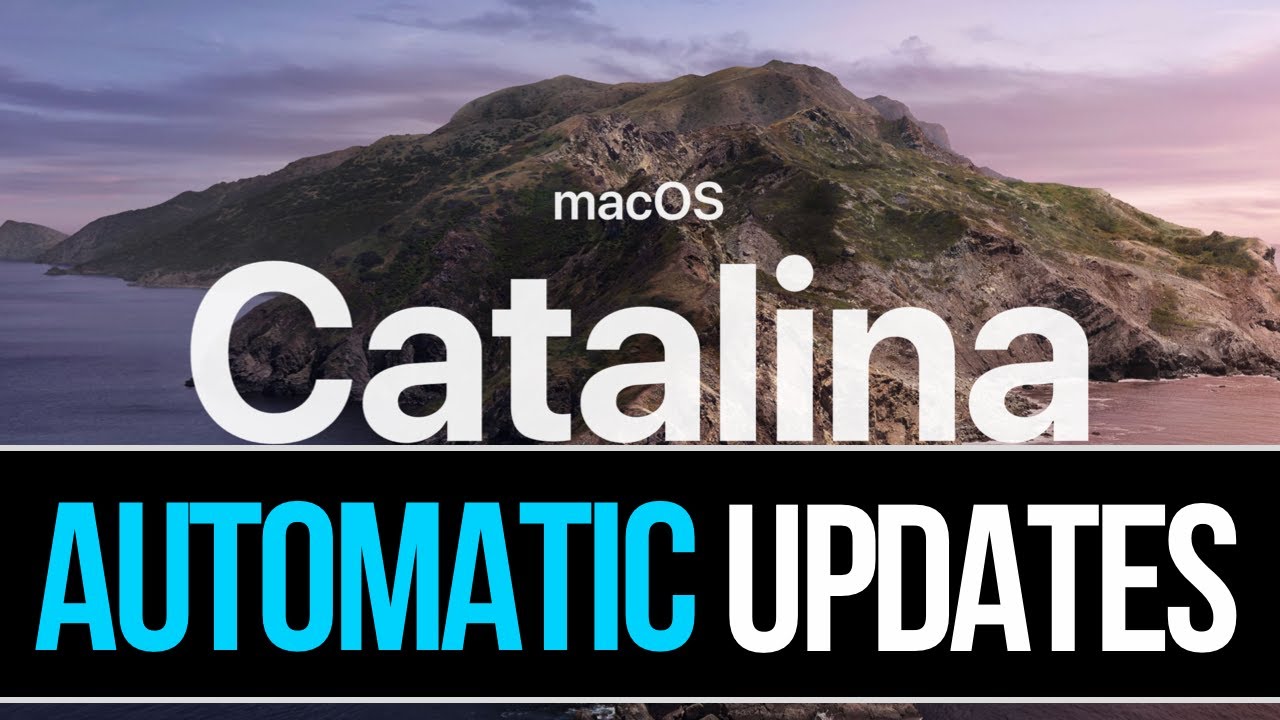 How to Enable or Disable Automatic Updates on macOS Catalina - YouTube