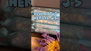 Download Lagu Blue lotus herbal j’s are perfect to unwind before bed \u0026 dream!! #shorts MP3