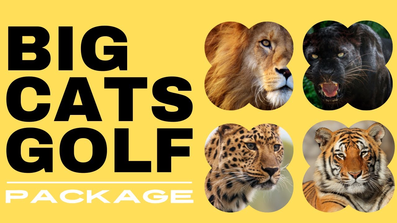 BIG CATS Golf Package at Ocean Ridge Plantation YouTube