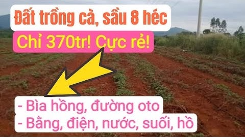 Bán đất đỏ bazan trồng cà phê, sầu riêng, bất động sản đất rẫy giá rẻ, điện nước gần dân