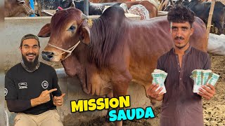 Adhura mission pura karne chale gae mandi 🐂 Ye janwar chahye mujhe 😍
