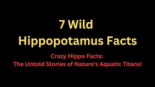 7 Wild Hippopotamus Facts | Crazy Hippo Facts: The Untold Stories of Nature's Aquatic Titans!