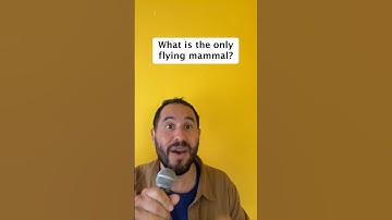 Are you smarter than a 5th grader? 5 animal trivia quiz questions for kids! #trivia #quiz