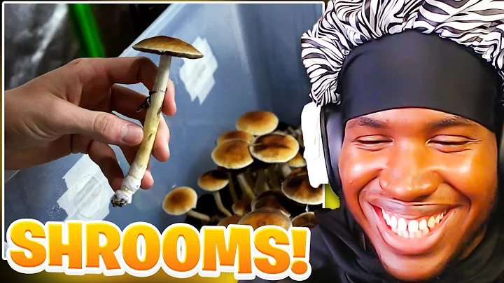 Shrooms And How They Work! | "How Magic Mushrooms Take Your Brain For One Hell Of A Trip"