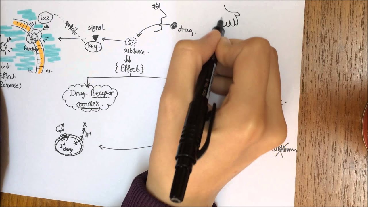 part 1 _ Pharmacodynamics & Drug-receptor interactions