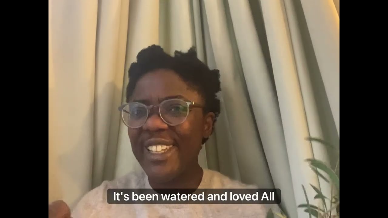 Grower's choice British Foliage Availability