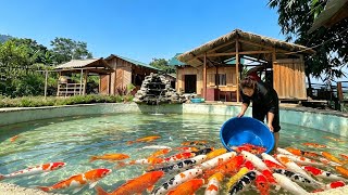 Download Lagu Mai cleaned up the fish pond and stocked it with a beautiful school of fish.