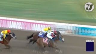 Glorious Climax to the Day's Racing at Caymanas Park 'The fun can't  Dun' |  TVJ Sports Commentary
