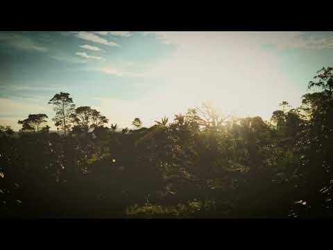 Jika Nanti - Monang Marfa (official)