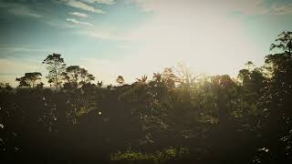 Download Lagu Jika Nanti - Monang Marfa (official) MP3