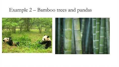 Mini-Lecture 3 - Experimental Design