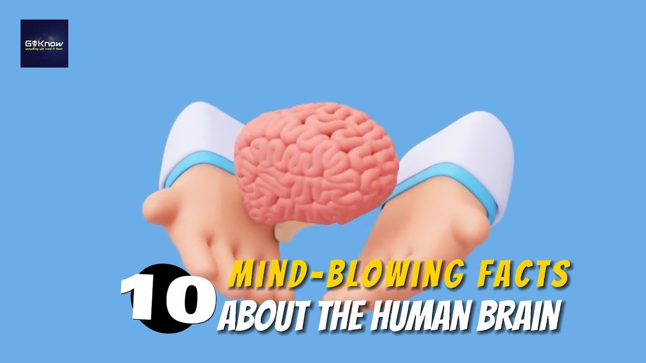 Science facts | 10 Mind Blowing Facts About the Human Brain - YouTube