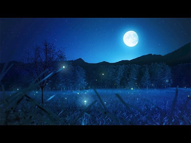 Relaxing Sleep Music and Night Nature Sounds: Soft Crickets, Beautiful Piano, Deep Sleep Music class=