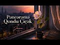 Dj Barama - Pəncərəmə Qondu Çiçək  jazz ( Cover)